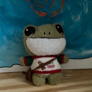 Frog stuffed animal with shirt and satchel